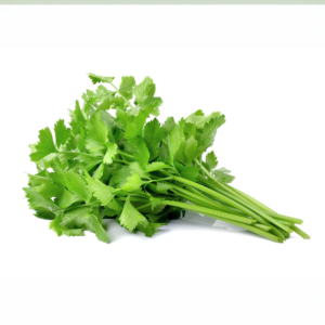 Coriander - (Dhaniya)