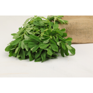 Fenugreek - (Methi)