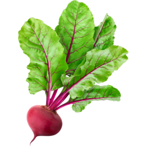 Beetroot