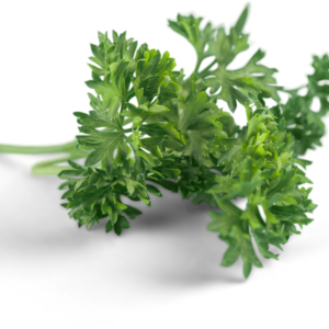 Parsley Leaves - (Koothmir)