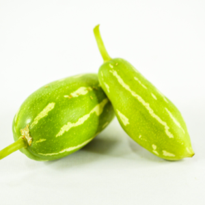 Ivy Gourd - (Tindora)