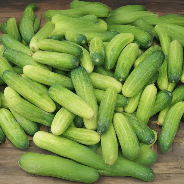 Cucumber - (Kakadi) - Image 3