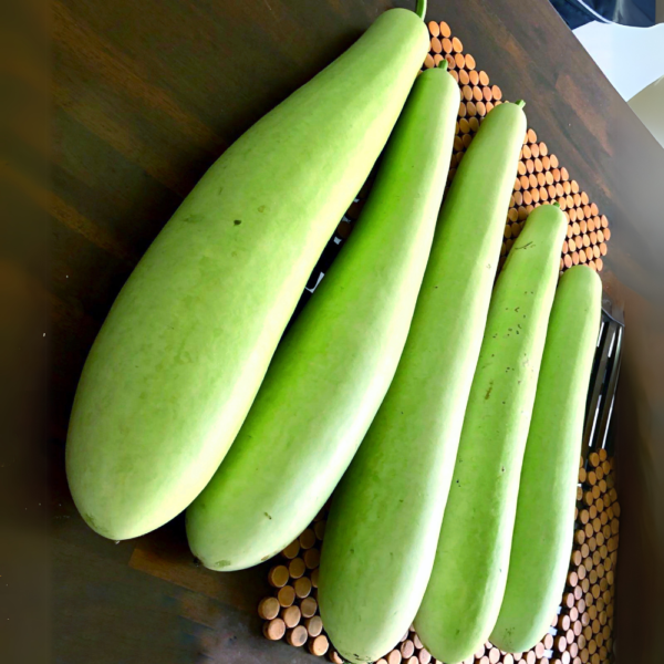 Bottle Gourd - (lauki) - Image 2