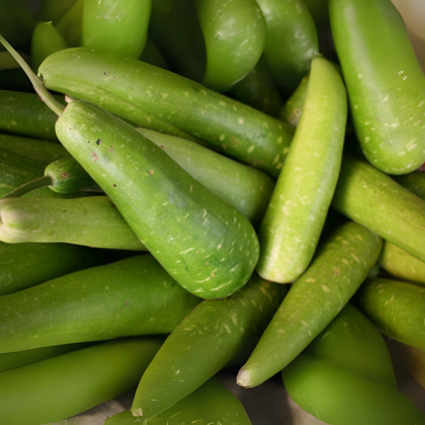 Bottle Gourd - (lauki) - Image 3