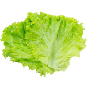 Lettuce - (Salad Patte)