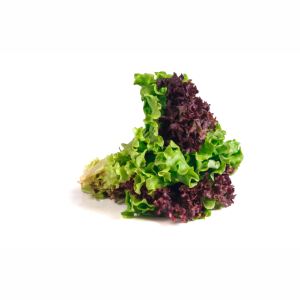Red Lettuce - (Laal Salad ke Patte) - Image 2