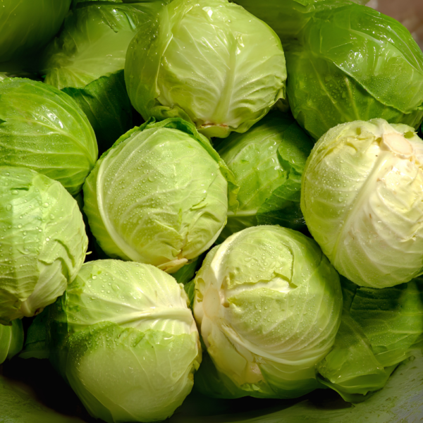 Cabbage - (Patta Gobi) - Image 3