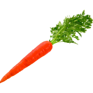 Carrot Red - (Gajar Laal)