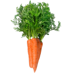 Carrot Orange - (Gajar Kesari)
